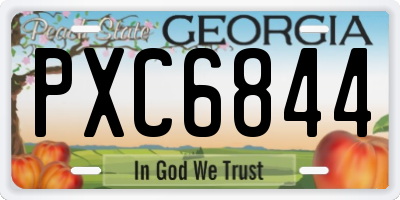 GA license plate PXC6844