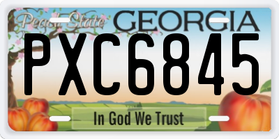 GA license plate PXC6845