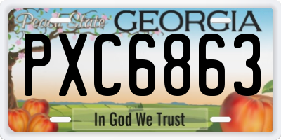 GA license plate PXC6863
