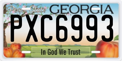 GA license plate PXC6993