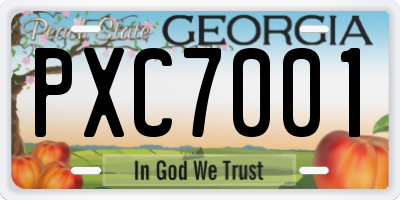 GA license plate PXC7001