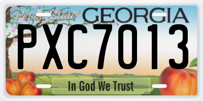 GA license plate PXC7013