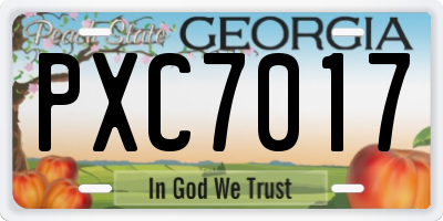 GA license plate PXC7017