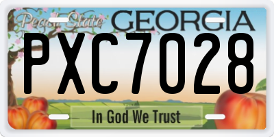 GA license plate PXC7028