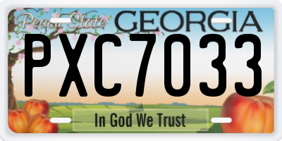 GA license plate PXC7033