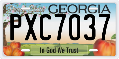 GA license plate PXC7037