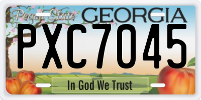 GA license plate PXC7045