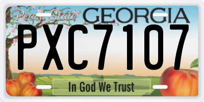 GA license plate PXC7107
