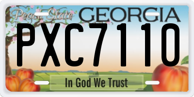 GA license plate PXC7110
