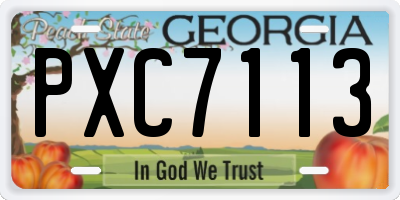 GA license plate PXC7113