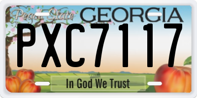 GA license plate PXC7117