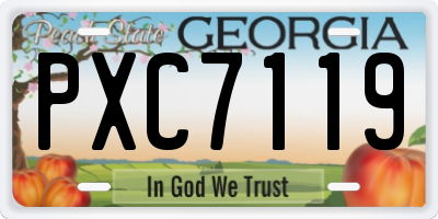 GA license plate PXC7119