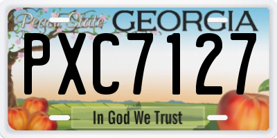 GA license plate PXC7127
