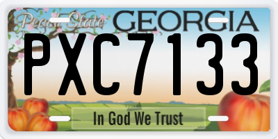 GA license plate PXC7133