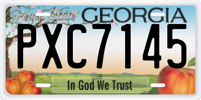 GA license plate PXC7145