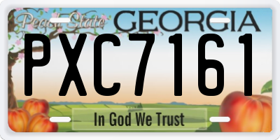 GA license plate PXC7161