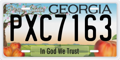 GA license plate PXC7163