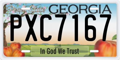 GA license plate PXC7167