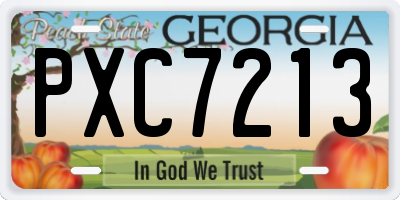 GA license plate PXC7213