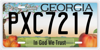 GA license plate PXC7217