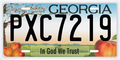 GA license plate PXC7219