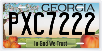 GA license plate PXC7222