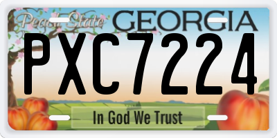 GA license plate PXC7224