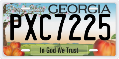 GA license plate PXC7225