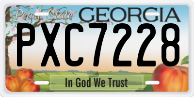 GA license plate PXC7228