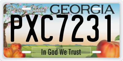 GA license plate PXC7231