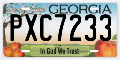 GA license plate PXC7233