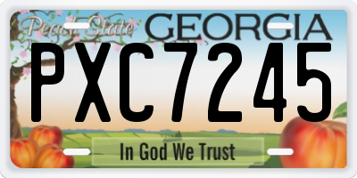 GA license plate PXC7245