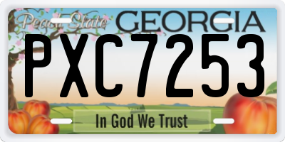 GA license plate PXC7253