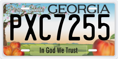 GA license plate PXC7255