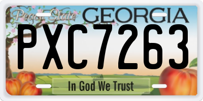 GA license plate PXC7263