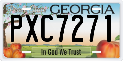 GA license plate PXC7271