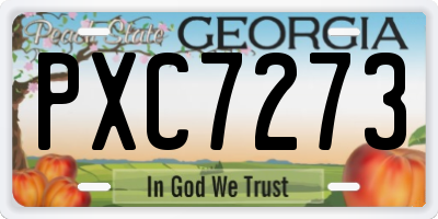 GA license plate PXC7273