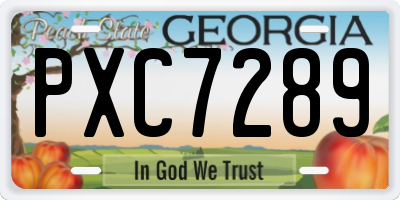 GA license plate PXC7289