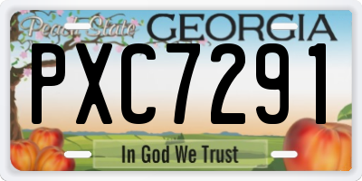 GA license plate PXC7291