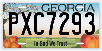 GA license plate PXC7293