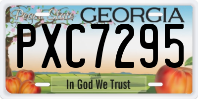 GA license plate PXC7295