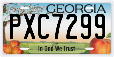 GA license plate PXC7299