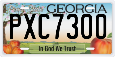 GA license plate PXC7300