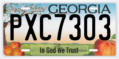 GA license plate PXC7303