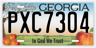 GA license plate PXC7304