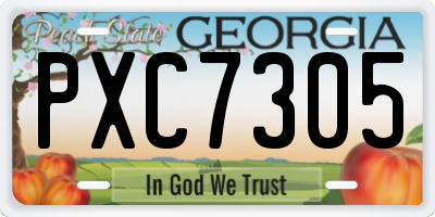 GA license plate PXC7305