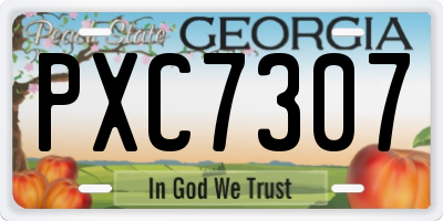 GA license plate PXC7307