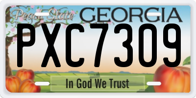 GA license plate PXC7309