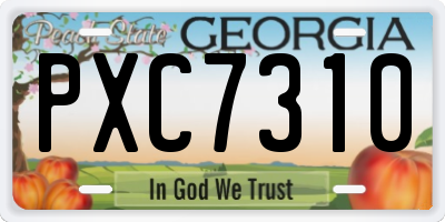 GA license plate PXC7310