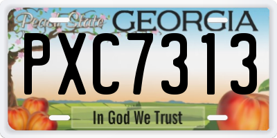 GA license plate PXC7313